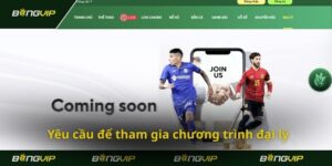 Cơ hội làm giàu từ trang Bongvip khi trở thành một đại lý